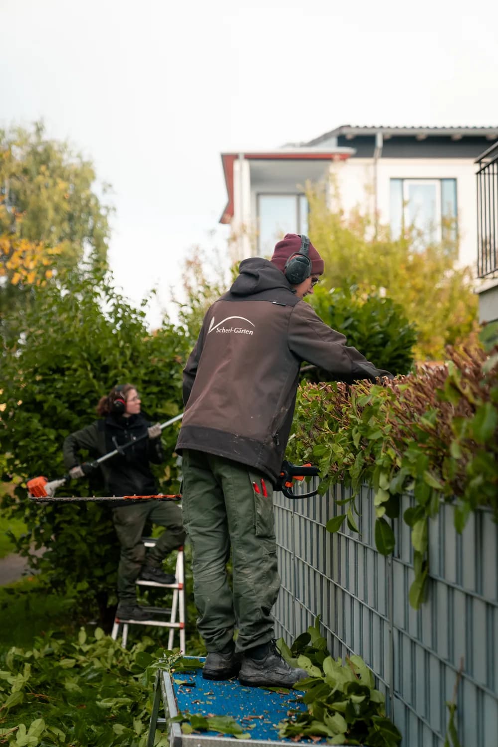 Zwei aus dem Team pflegen gemeinsam eine hohe Hecke